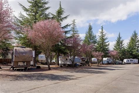 village green cottage grove or|cottage grove rv village.